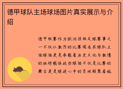 德甲球队主场球场图片真实展示与介绍